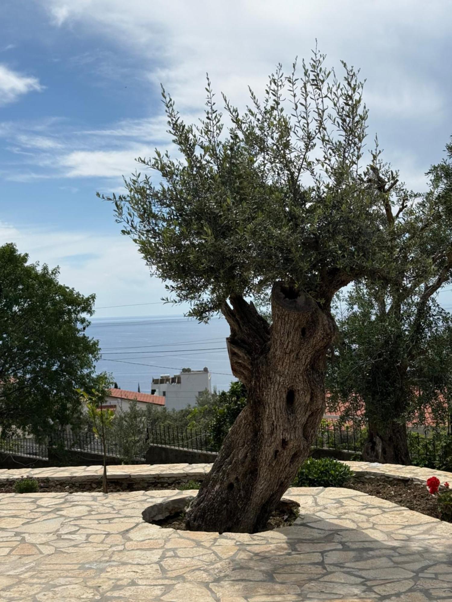 Villa Thomas Dhërmi Εξωτερικό φωτογραφία